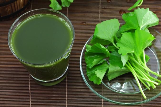 Boost Natural Collagen Regeneration with Ayurveda: The Ultimate Guide - Auraveda