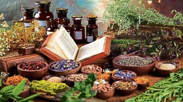 Embrace an Ayurvedic Lifestyle: Tips for Beginners - Auraveda