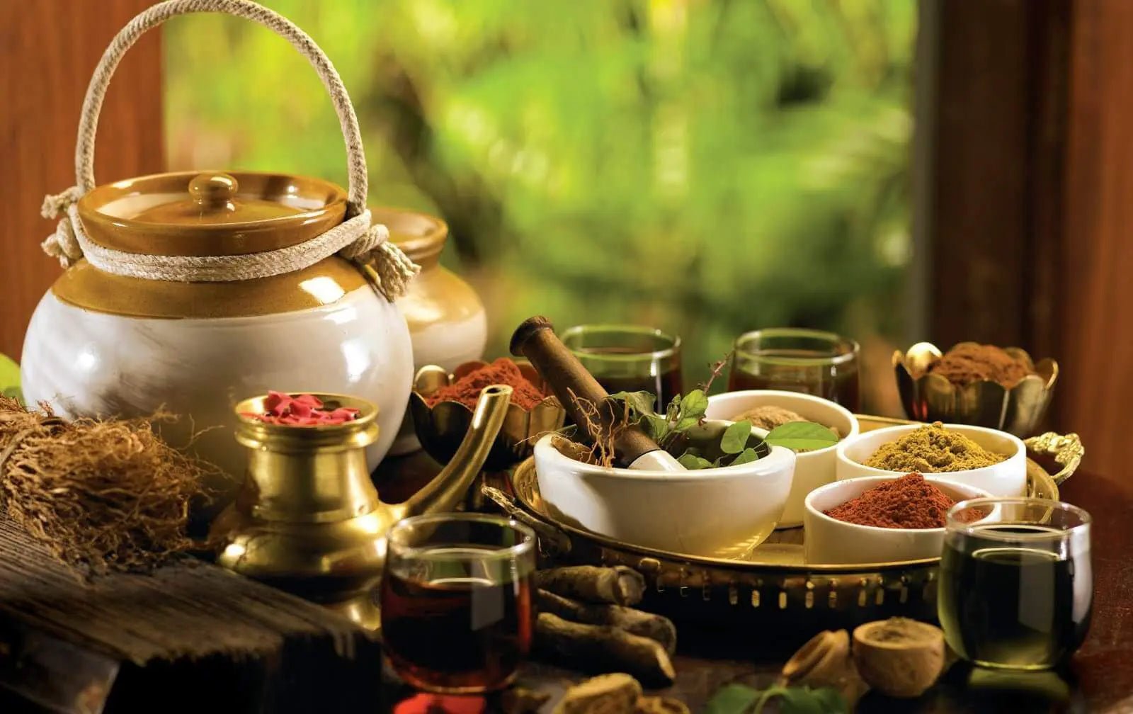 What is Ayurveda? Discover the Ancient Healing System - Auraveda